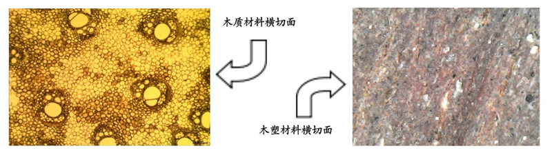 默认标题__2023-02-27+15_44_48_副本_副本.jpg